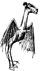 shadowlands-jd1.gif